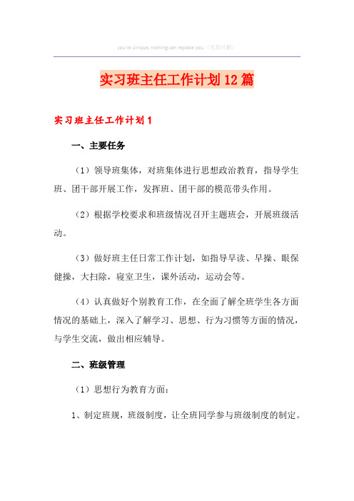 实习班主任工作计划12篇