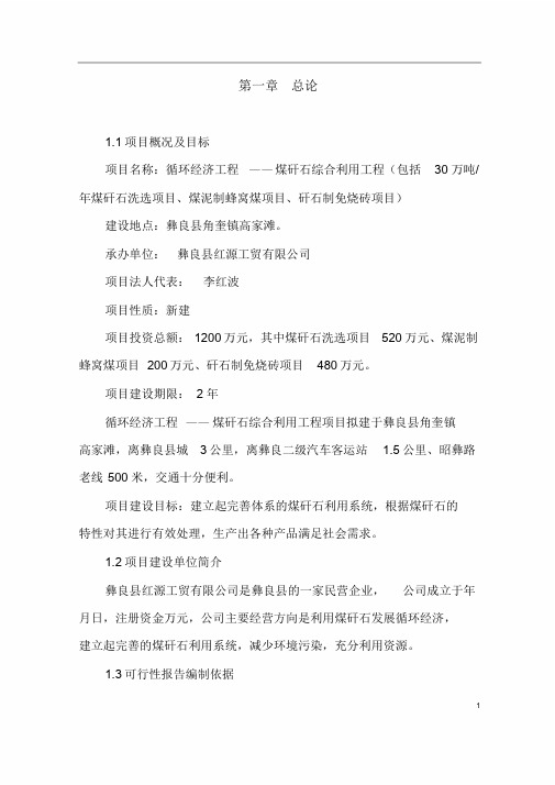 煤矸石综合利用工程项目可行性研究报告[1]