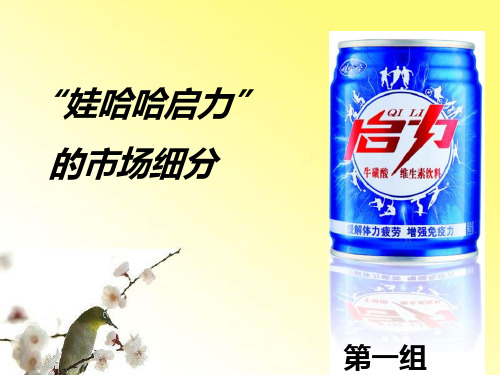 娃哈哈启力市场细分
