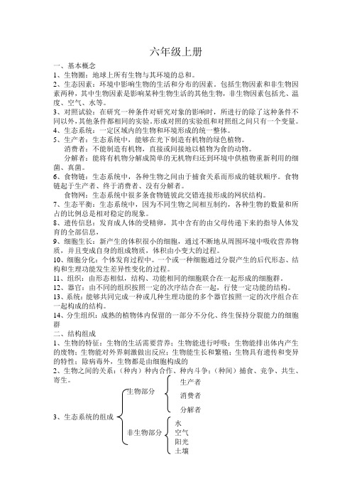 生物六年级上册知识总结