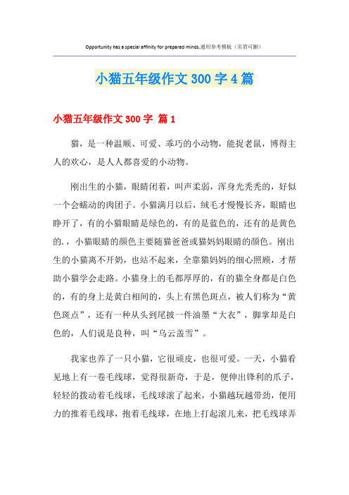 小猫五年级作文300字4篇