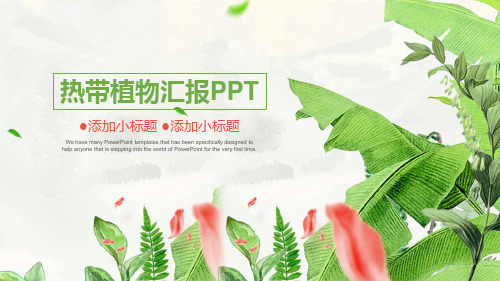 热带植物背景工作汇报PPT模板