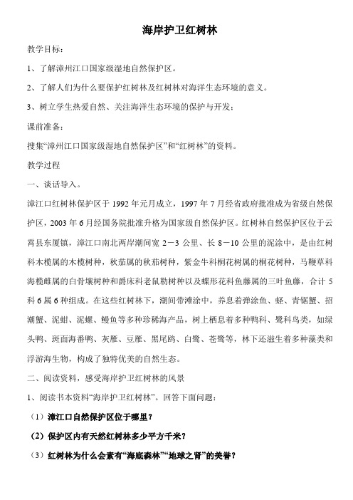海岸护卫红树林