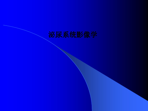 泌尿系统影像学PPT课件