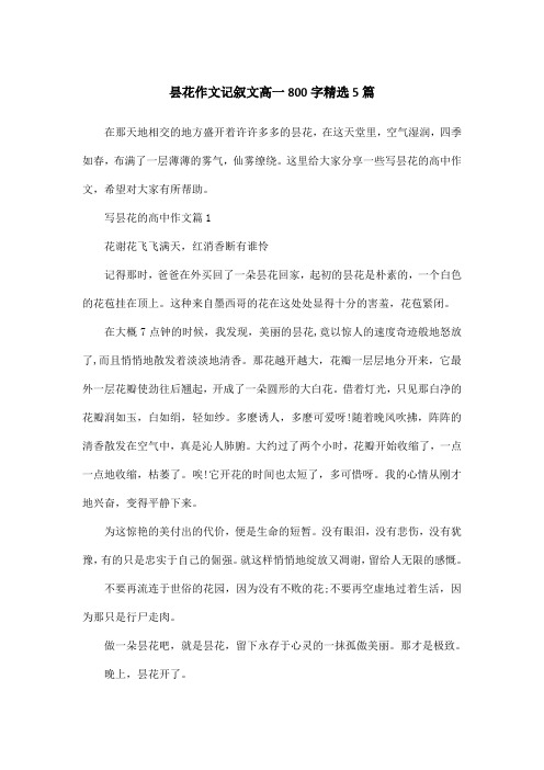 昙花作文记叙文高一800字精选5篇