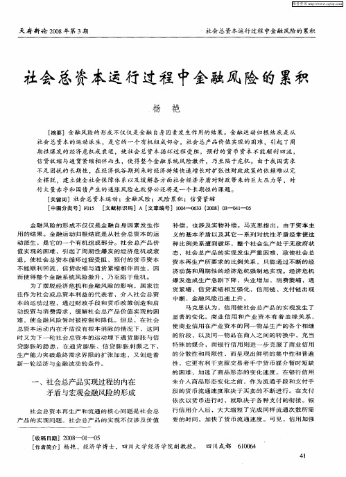 社会总资本运行过程中金融风险的累积