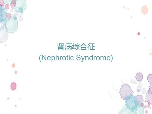 肾病综合征讲课稿