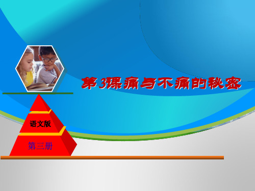 痛与不痛的秘密ppt