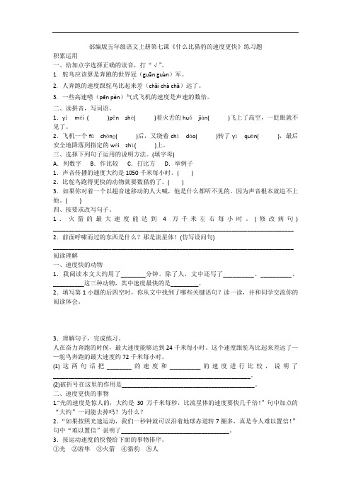 五年级上册语文一课一练-第7课 什么比猎豹的速度更快(含答案)-人教部编版