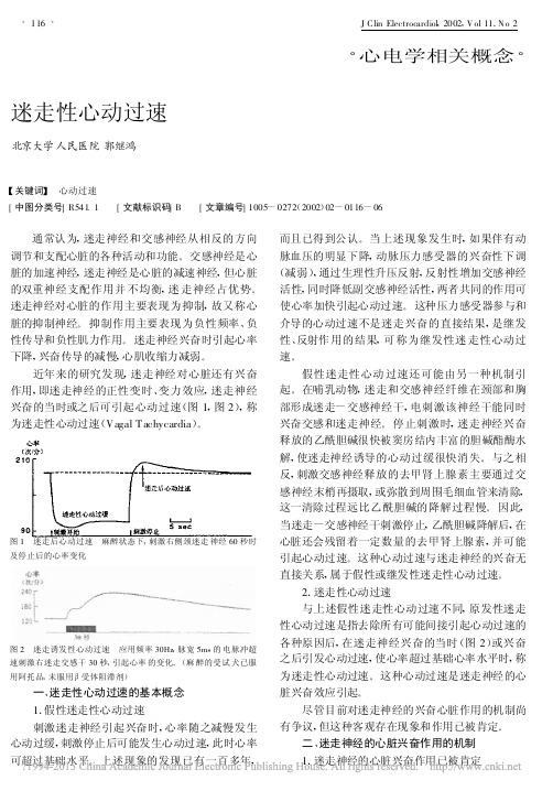 迷走性心动过速_郭继鸿