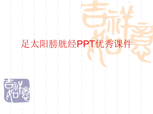 足太阳膀胱经PPT优秀课件