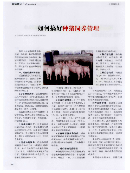 如何搞好种猪饲养管理