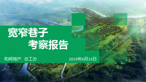 最成都宽窄巷子考察报告2019