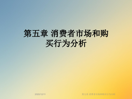 第五章 消费者市场和购买行为分析
