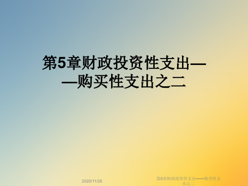 第5章财政投资性支出——购买性支出之二