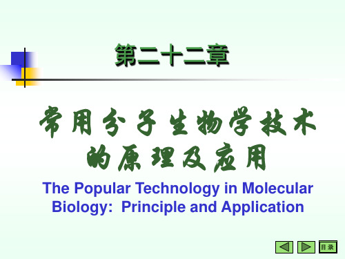 分子生物学常用技术-PPT课件