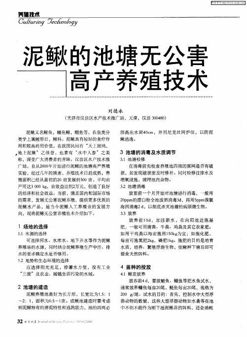 泥鳅的池塘无公害高产养殖技术