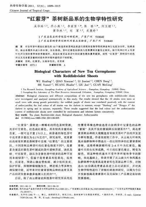 “红紫芽”茶树新品系的生物学特性研究