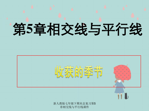 新人教版七年级下期末总复习第5章相交线与平行线课件