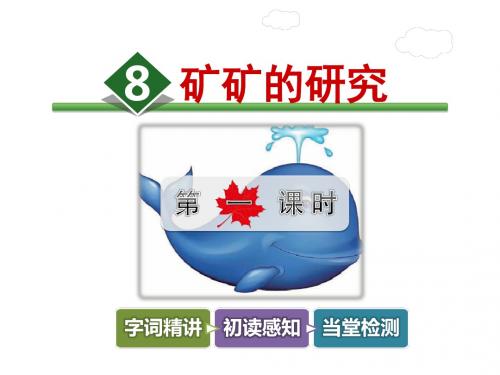 三年级下册语文课件-8.矿矿的研究【第1课时】-冀教版(2016)