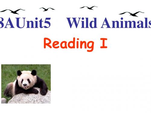 牛津译林版八年级英语上册课件《Unit5 Wild Animals》(reading 1)(共28张PPT) (1)