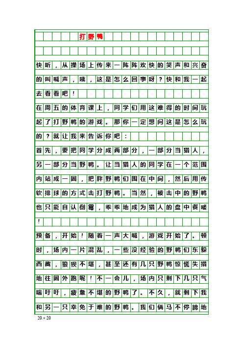 写作素材：打野鸭