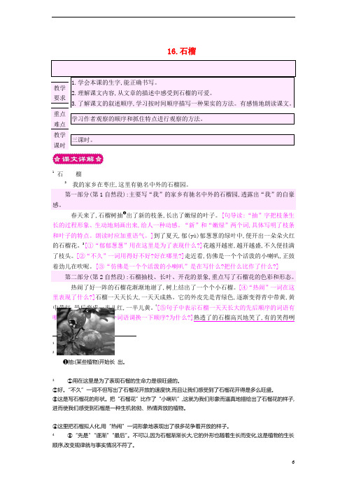 三年级语文上册16.石榴教案苏教版