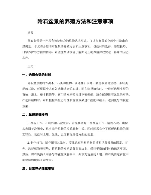 附石盆景的养殖方法和注意事项