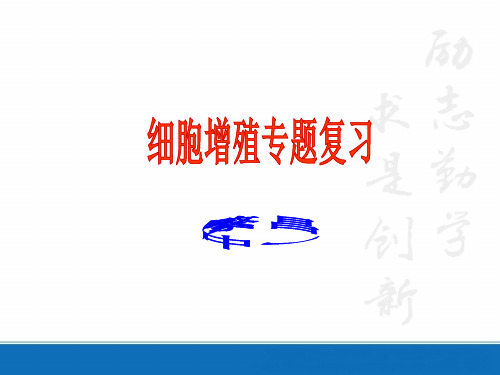 有丝分裂一轮复习公开课