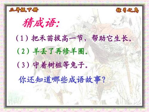 10惊弓之鸟(修改)