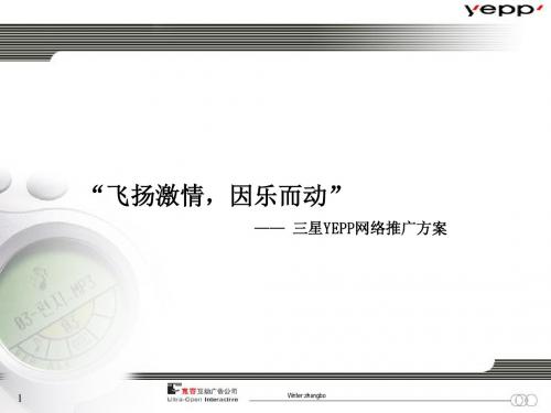 三星YEPP网络推广方案(ppt47张)