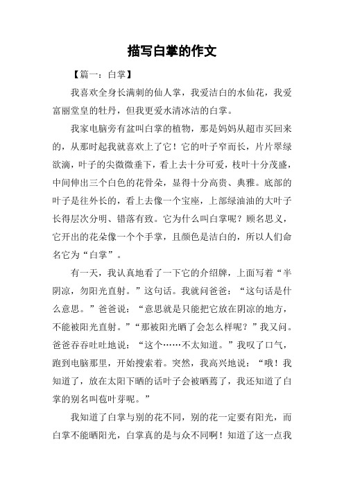 描写白掌的作文