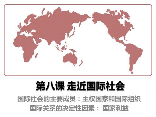 2.4.8《走近国际社会》精品复习课件