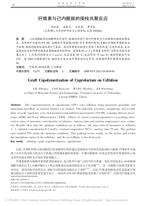 纤维素与己内酰胺的接枝共聚反应(1)