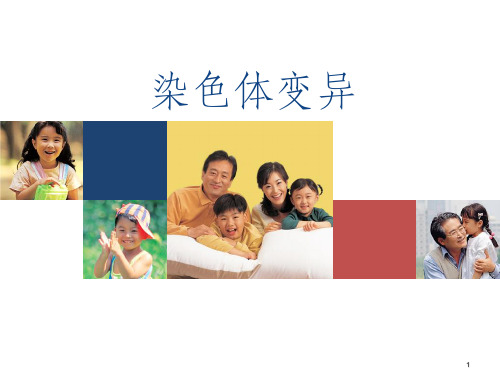 染色体变异说课课件PPT课件