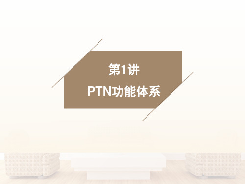 PTN功能体系完整版教学课件最全ppt整套教程电子讲义(最新)