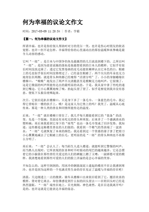 何为幸福的议论文作文