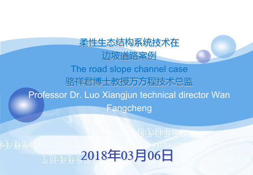 柔性生态结构系统技术在--边坡道路案例