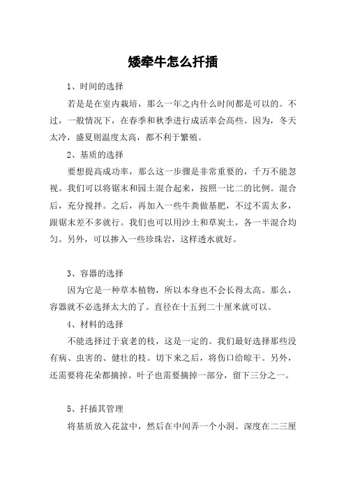 矮牵牛怎么扦插
