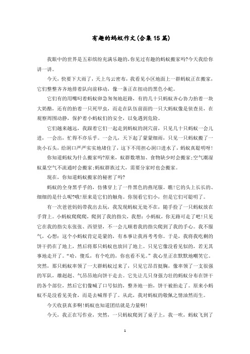 有趣的蚂蚁作文(合集15篇)范文精选