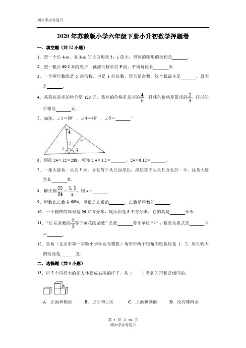 六学年级下册数学试题-2020年小升初数学押题卷8(解析版)苏教版
