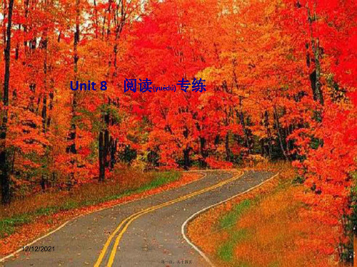 九年级英语全册 unit 8 it must belong to carla阅读专练习题课件