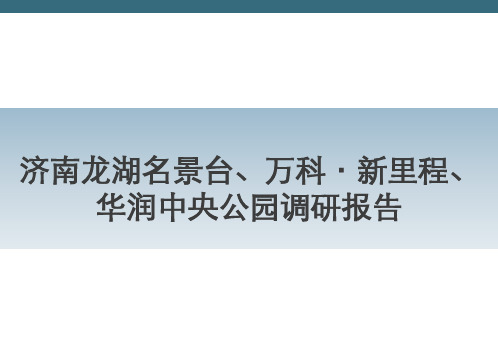济南龙湖名景台万科新里程华润中央公园调研报告