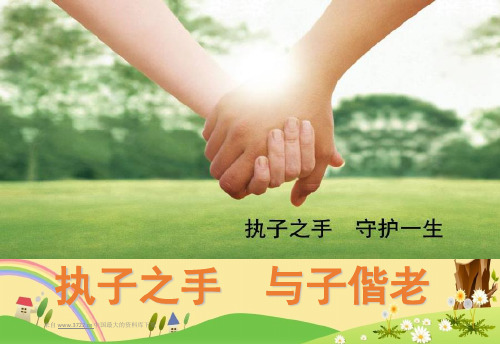 保险行业培训资料-中国平安--守护一生销售版本(PPT 31页)