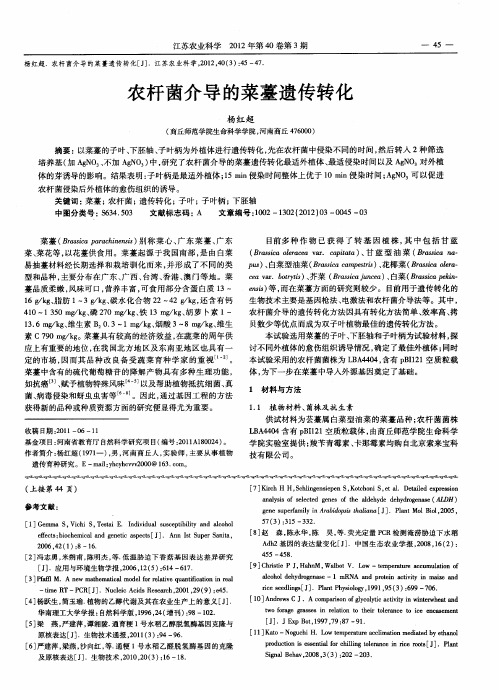 农杆菌介导的菜薹遗传转化