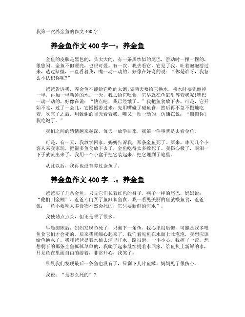 我第一次养金鱼的作文400字