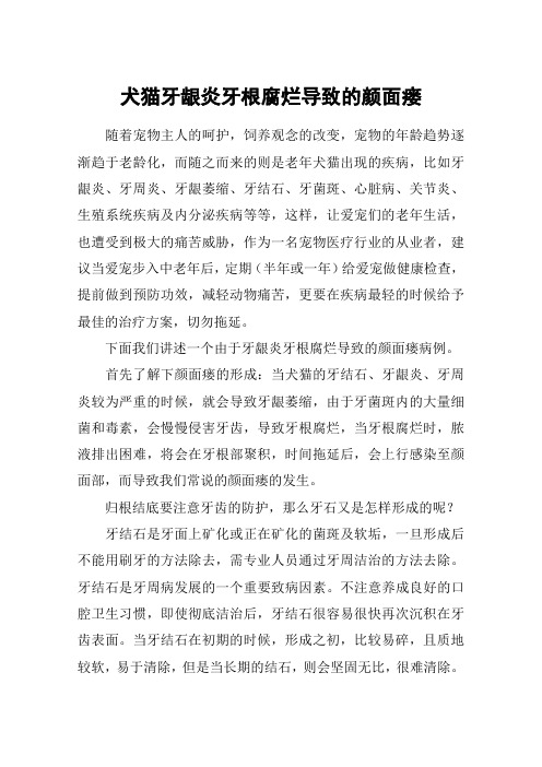 犬猫牙龈炎牙根腐烂导致的颜面瘘