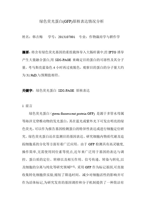 绿色荧光蛋白