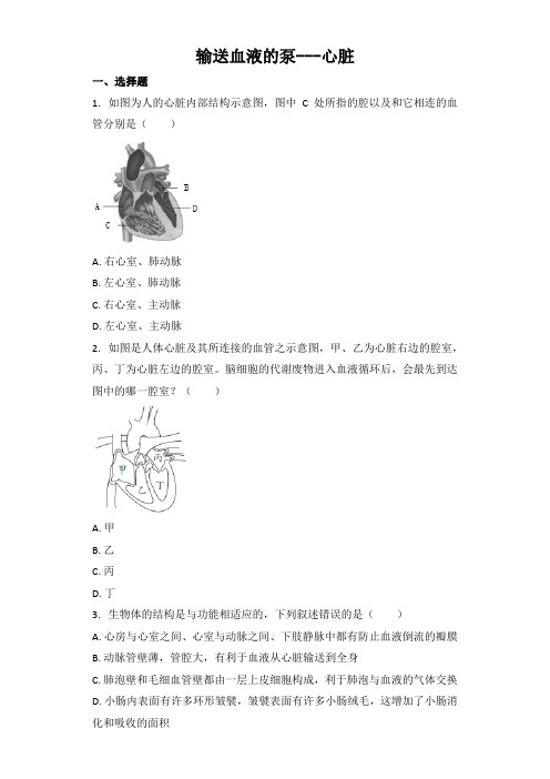 中考生物基础强化训练：输送血液的泵---心脏（word版含解析）
