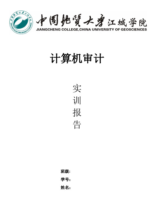 计算机审计